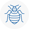 Bed Bug Extermination In Reigate