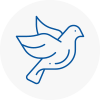 Bird Prevention Reigate