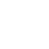 Domestic Ant Control For Reigate