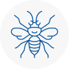 Reigate Hornet Nest Removals