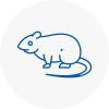 Rat Control Reigate