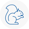 Reigate Rodent Removals