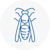 Reigate Wasp Nest Removal